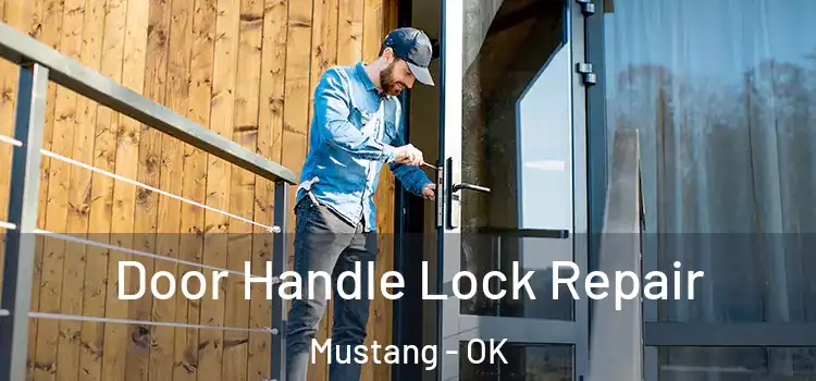  Door Handle Lock Repair Mustang - OK