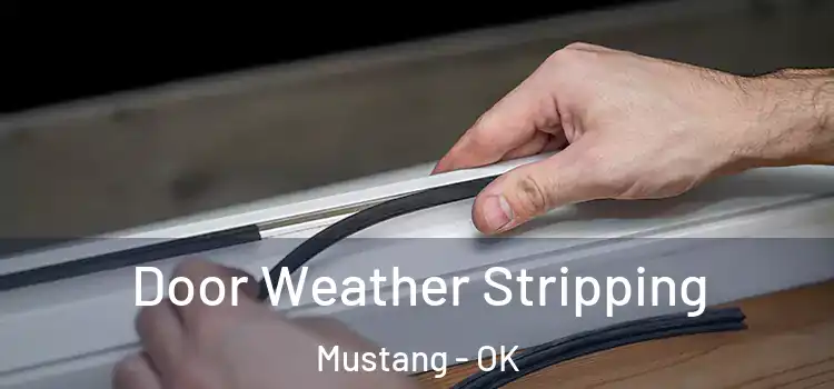  Door Weather Stripping Mustang - OK