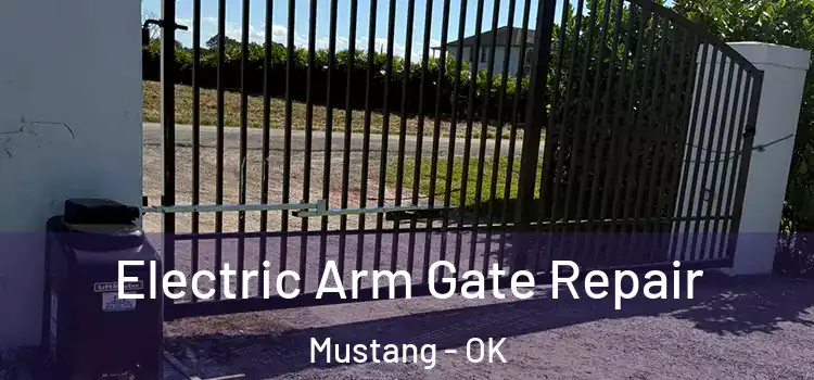  Electric Arm Gate Repair Mustang - OK