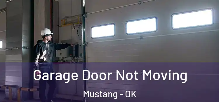  Garage Door Not Moving Mustang - OK