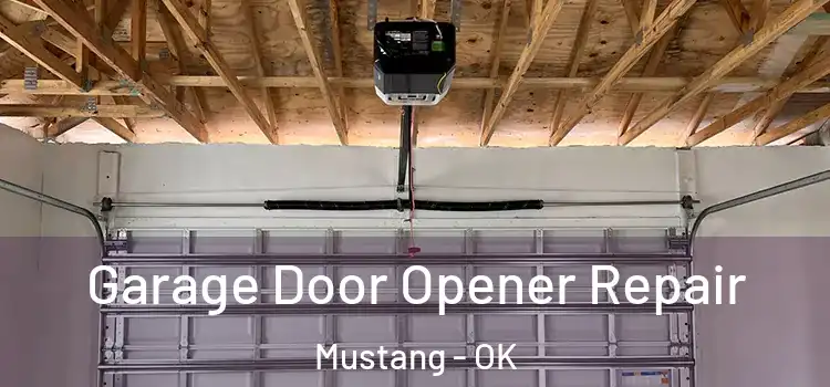 Garage Door Opener Repair Mustang - OK