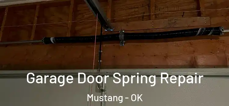  Garage Door Spring Repair Mustang - OK