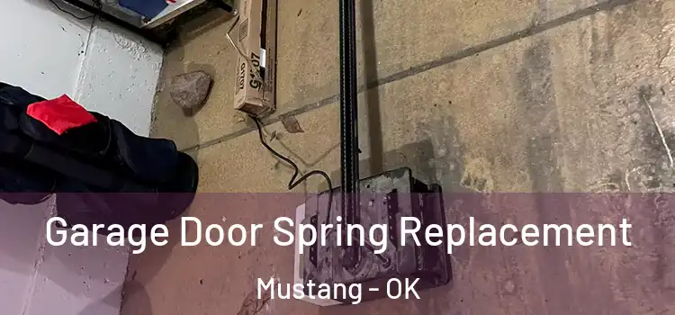  Garage Door Spring Replacement Mustang - OK