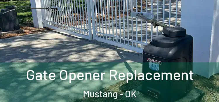  Gate Opener Replacement Mustang - OK