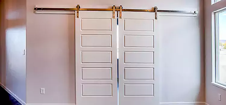 Glass Barn Door with Installation Hardware Kit Mustang