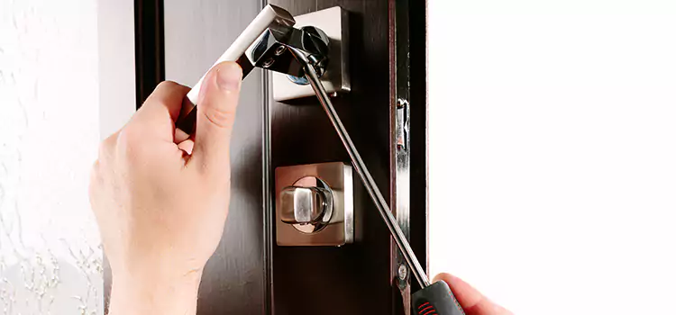 Door Lock Replacement Service Mustang