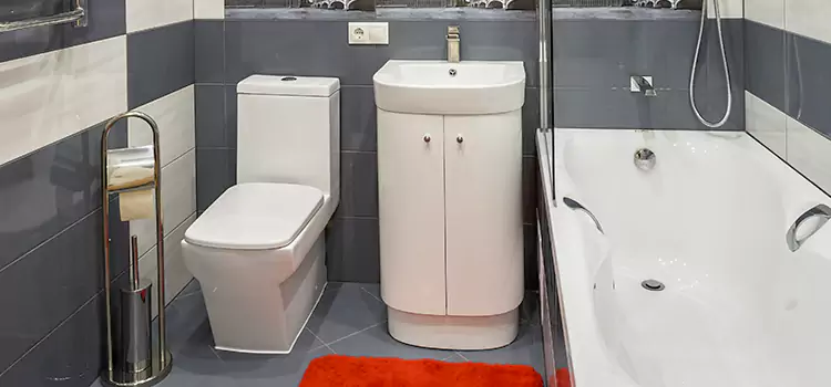 Hansgrohe Shaving Mirror Mustang